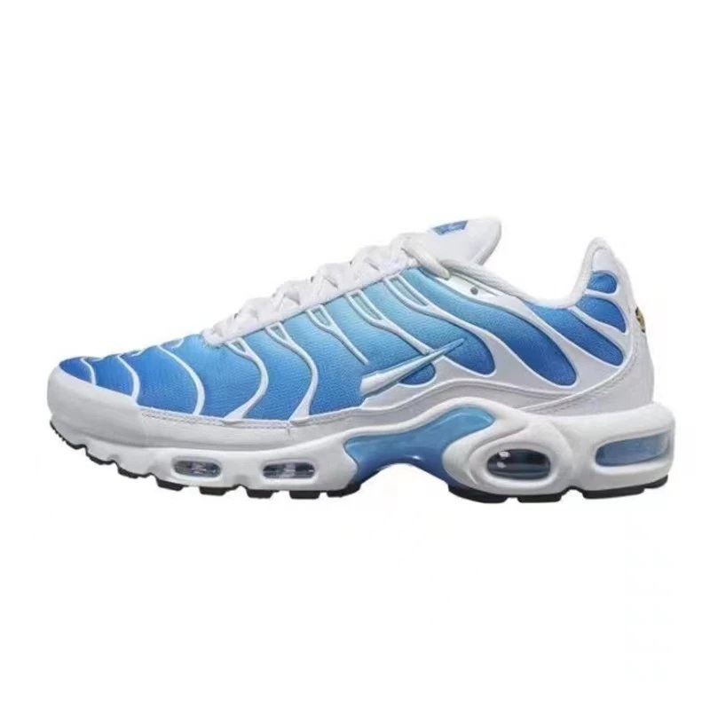 Nike Air Max Plus tn QC 2