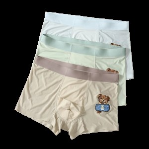 LV Louis Vuitton Underwear photo 2