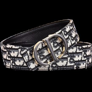 Dior belt photo 2
