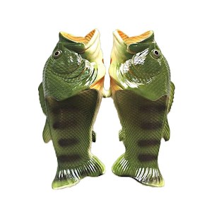 Fish Slides photo 2