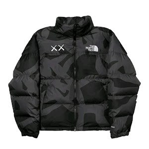 The North Face down jacket photo 3
