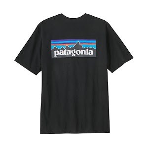 Patagonia T-shirt Tee photo 3