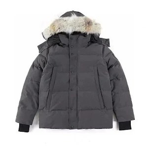 Canada Goose Down Jacket photo 2