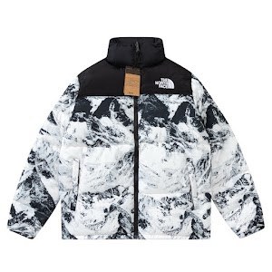 The North Face down jacket photo 3