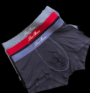 Loro Piana Underwear photo 2