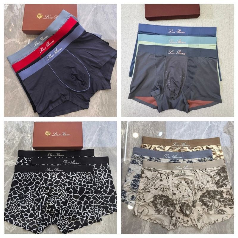 Loro Piana Underwear photo 4