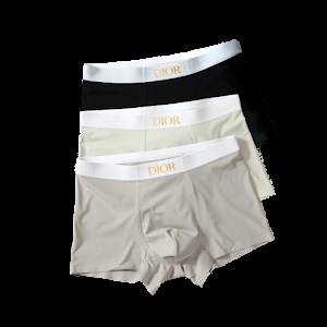 DIOR Underwear photo 2