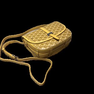 30+ Goyard Bags photo 2