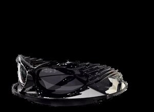 Balenciaga Hedge Hog Ass Glasses photo 3