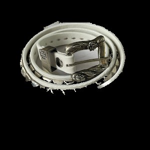 ERD Belt photo 2