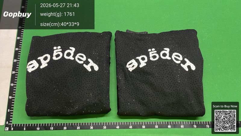 Spider Hoodie QC 1