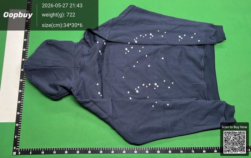 Spider Hoodie QC 3