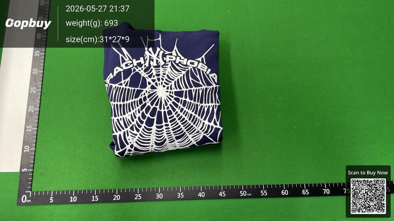 Spider Hoodie QC 2