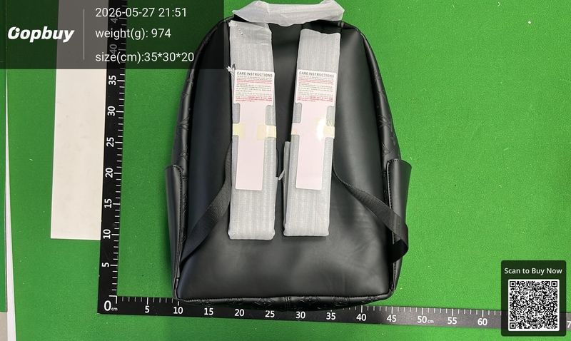 Louis Vuitton Bag QC 1