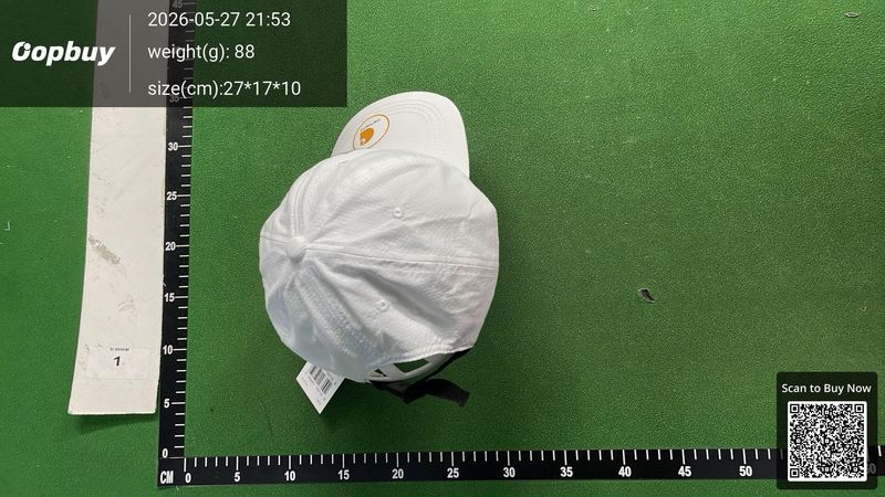 Carhartt Hat QC 2