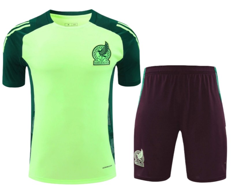 24/25 Mexico Training Shirt Fan Version