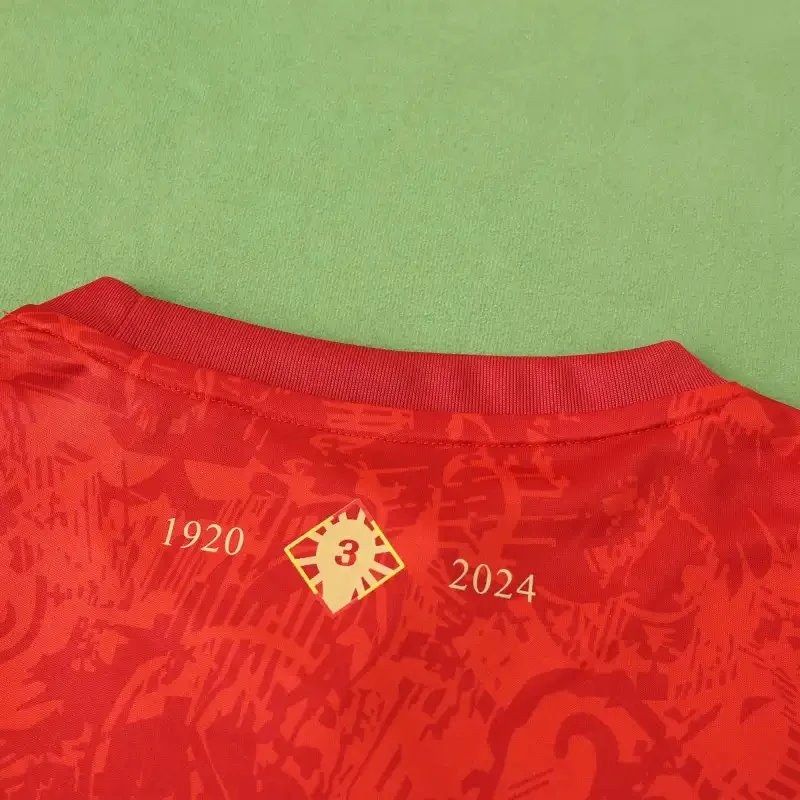 24/25 Season Spain Concept Version Fan Version QC 2