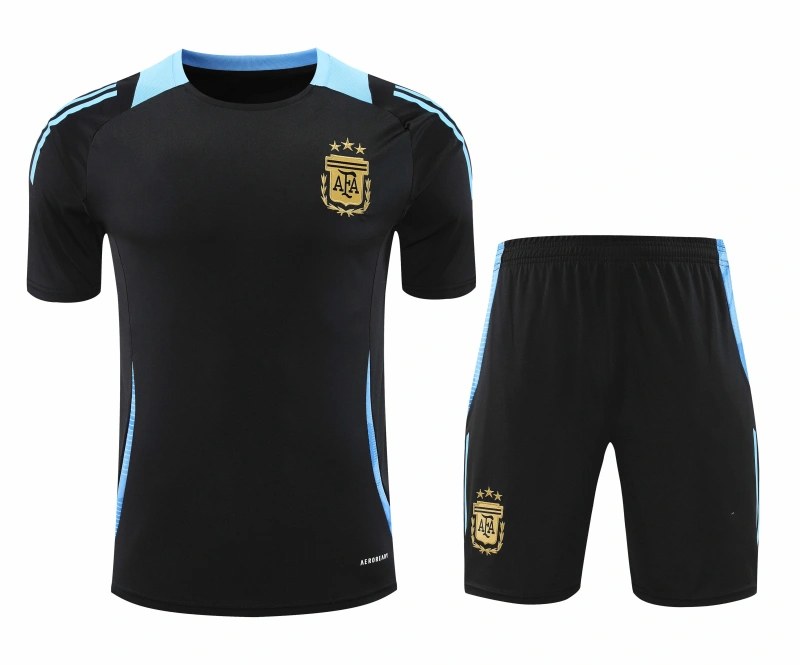 24/25 Argentina Training Shirt Fan Version