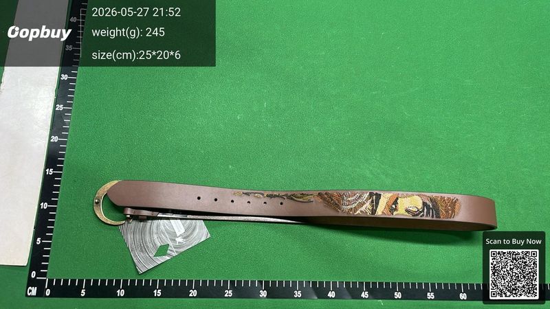 Derschutze Belt QC 2