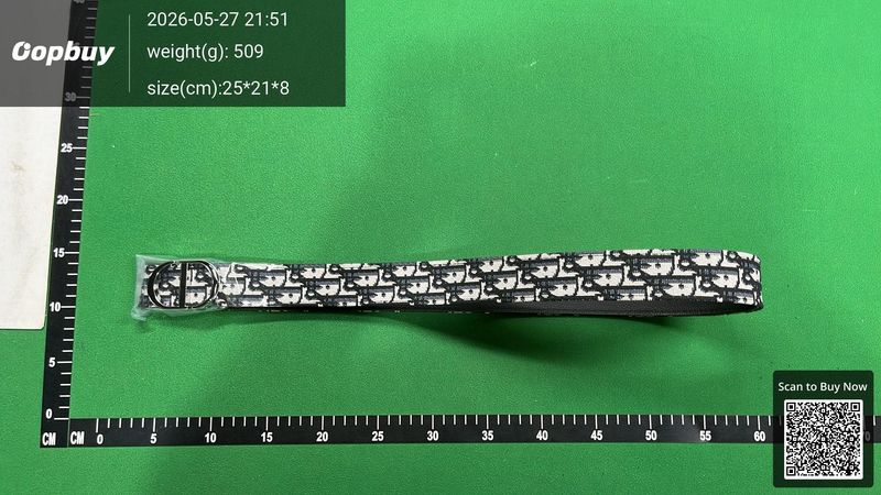 Dior Belt QC 3