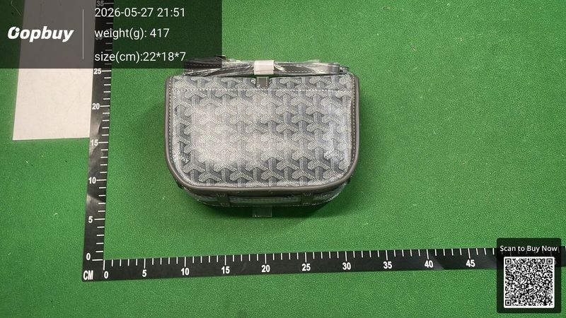 Goyard Bag QC 1