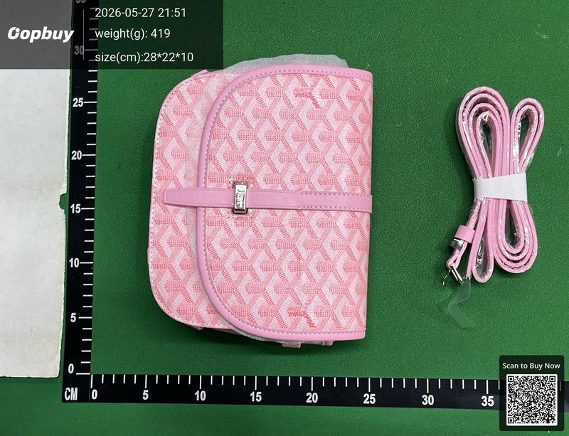 Goyard Bag QC 2