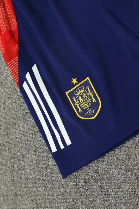 24/25 Spain Training Shirt Fan Version QC 2