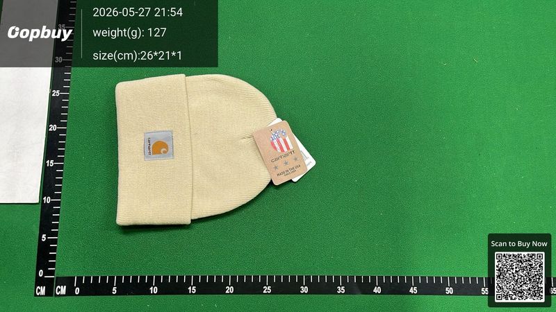 Carhartt Knitted Knitted Hat QC 2