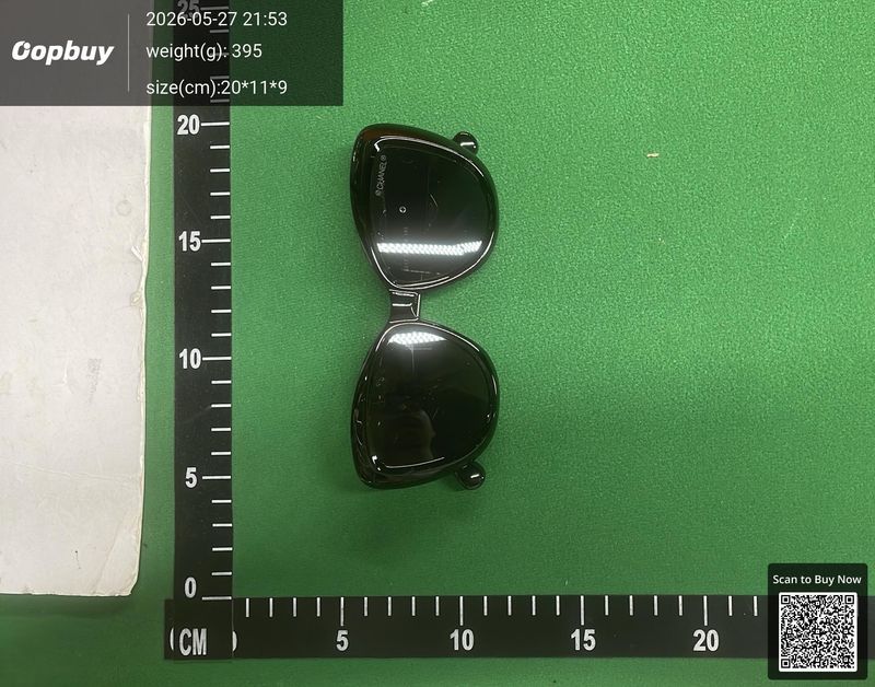 Chanel SunGlasses QC 3