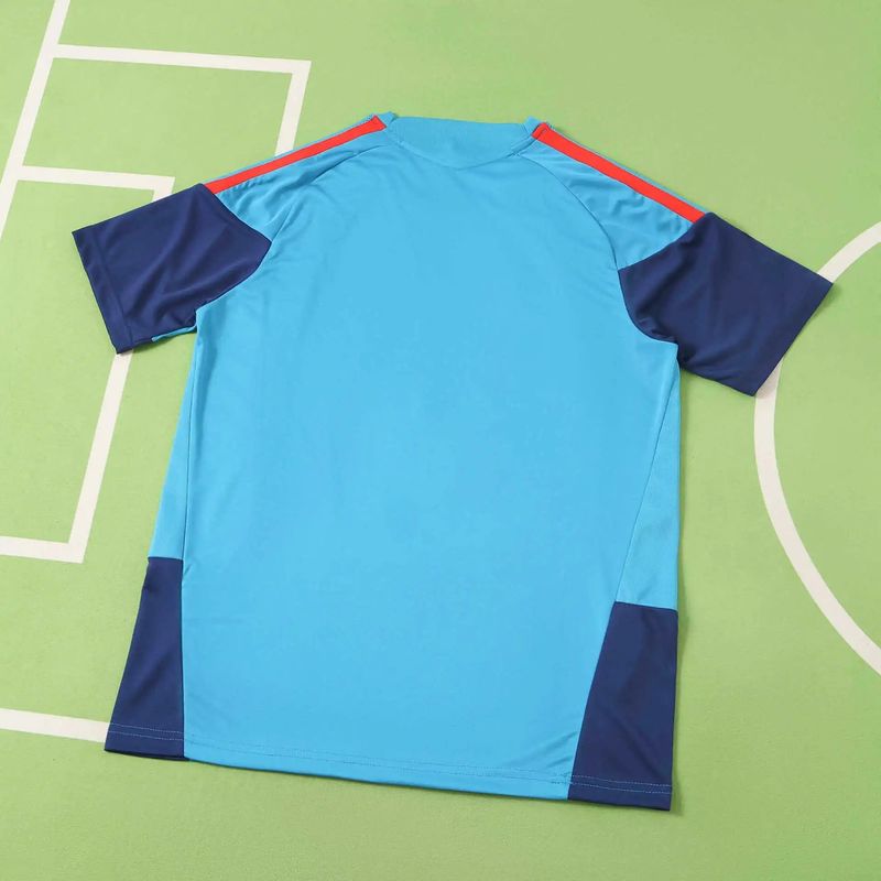 2026 FIFA World Cup Spain Training shirt Fan Version QC 1