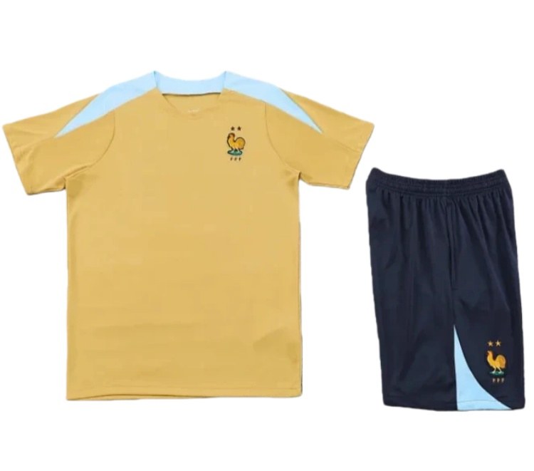 24/25 France Training Shirt Fan Version