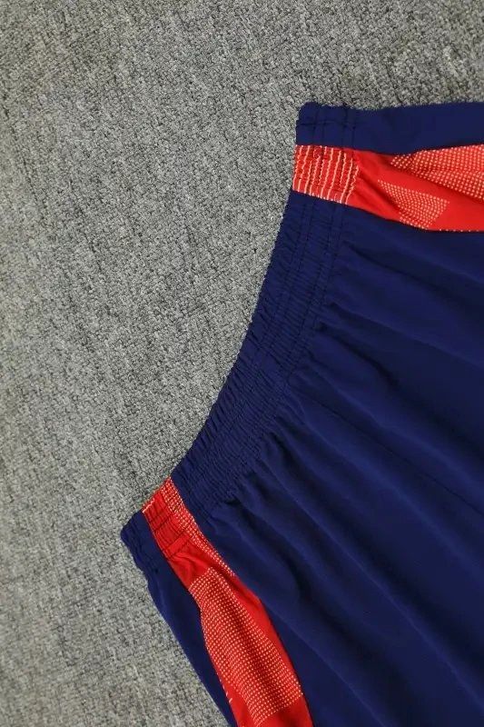 24/25 Spain Training Shirt Fan Version QC 2
