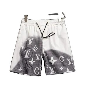 LV Louis Vuitton Shorts photo 2
