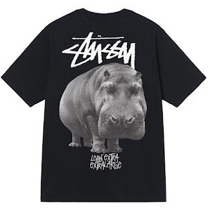 Stussy T-Shirt photo 3