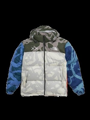 The North Face down jacket photo 3