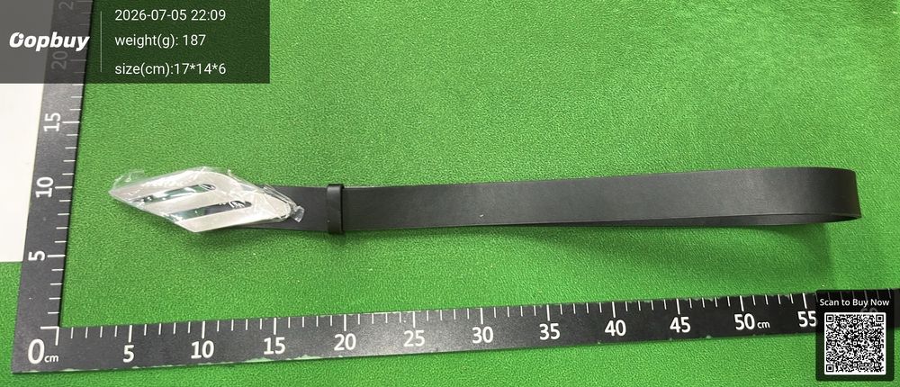 Balenciaga Sporty Belt QC photo 1