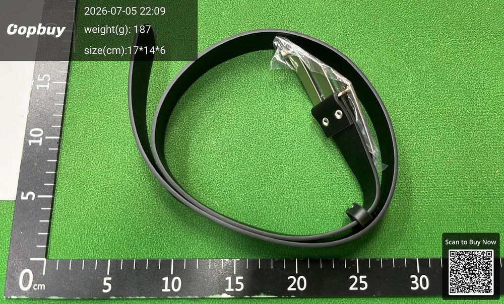 Balenciaga Sporty Belt QC photo 3