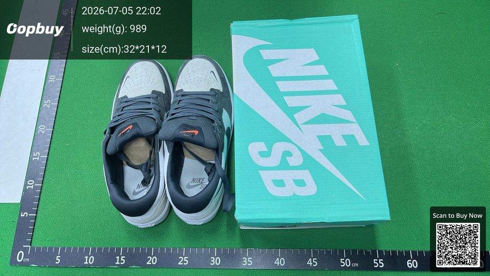 Nike SB Force 58 QC photo 1