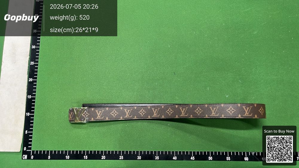 LV Belt QC photo 1