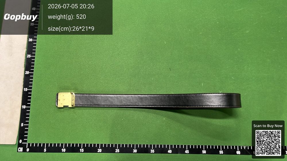 LV Belt QC photo 2