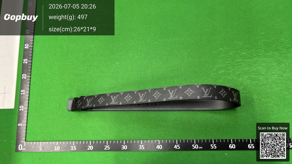LV Belt QC photo 4