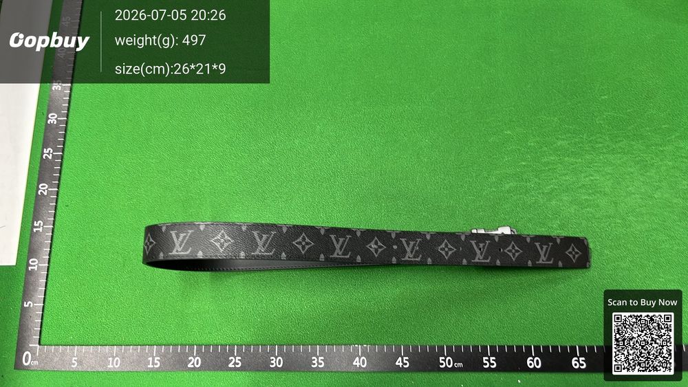 LV Belt QC photo 5