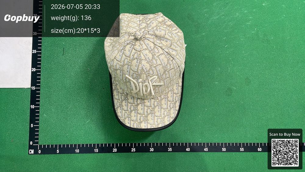 Dior Hat QC photo 4