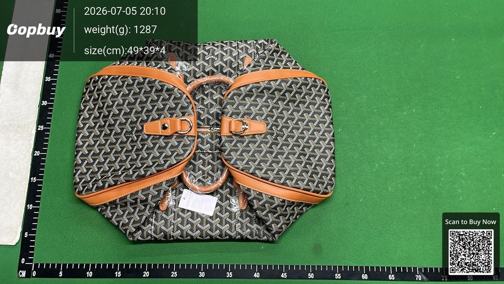 Goyard Bag QC photo 1