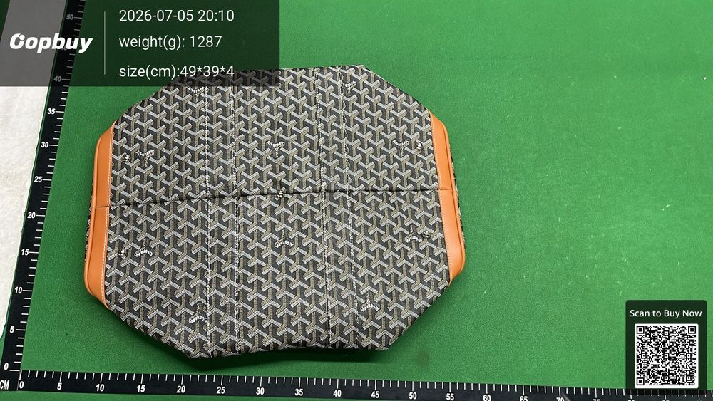 Goyard Bag QC photo 2