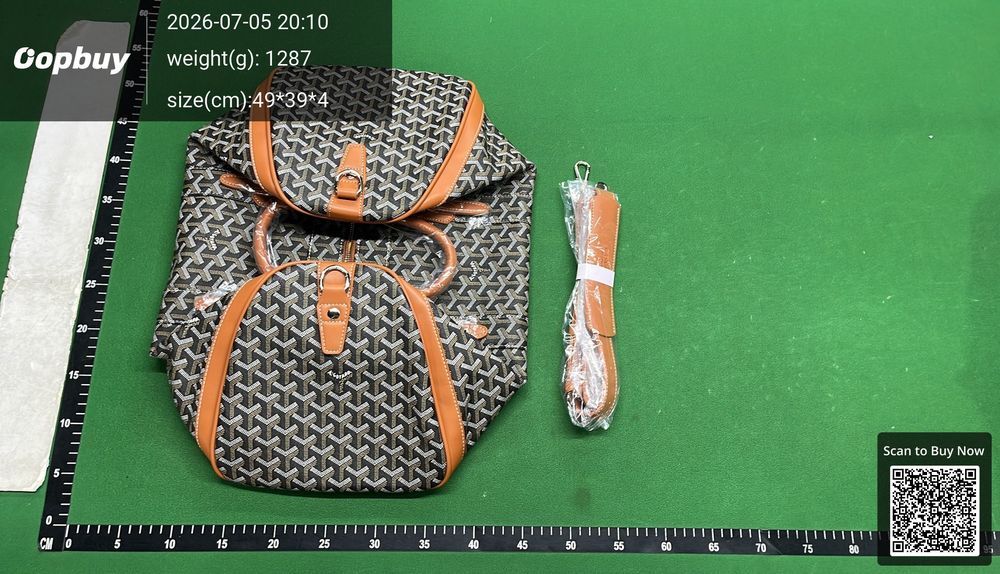 Goyard Bag QC photo 3