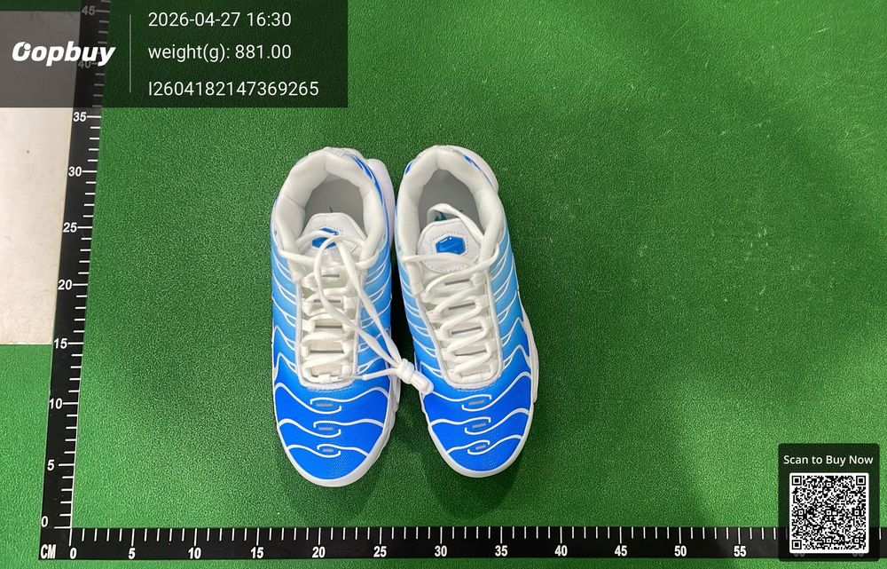 Nike Air Max Plus QC photo 1