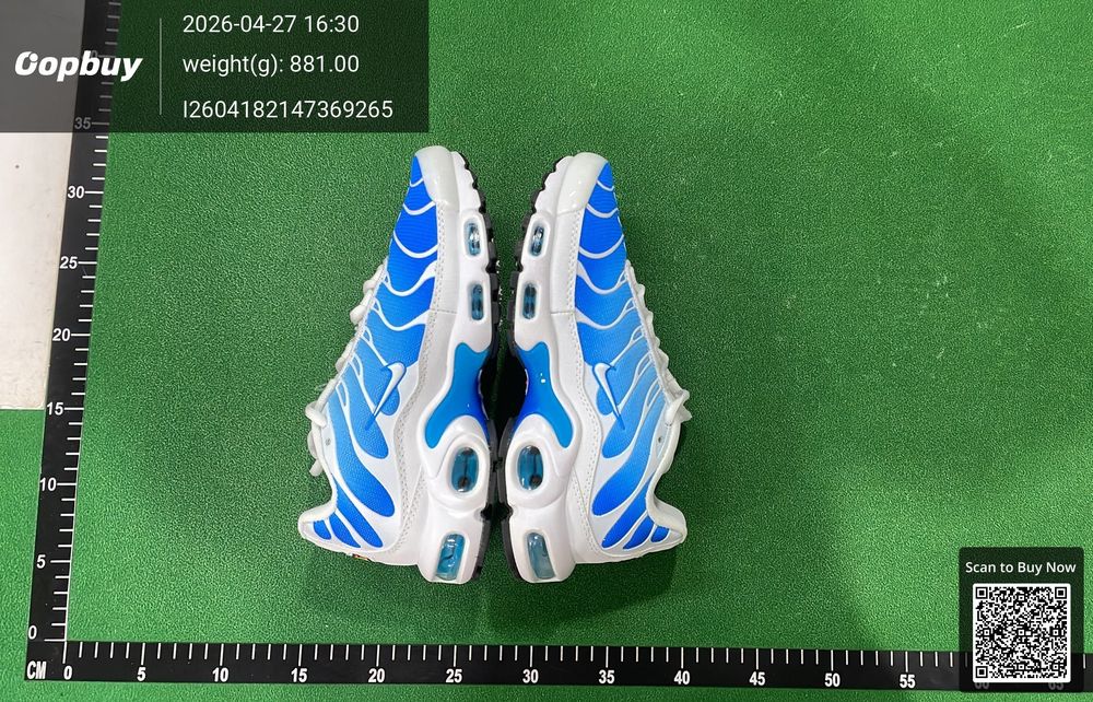 Nike Air Max Plus QC photo 2