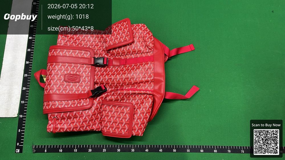 Goyard Bag QC photo 1
