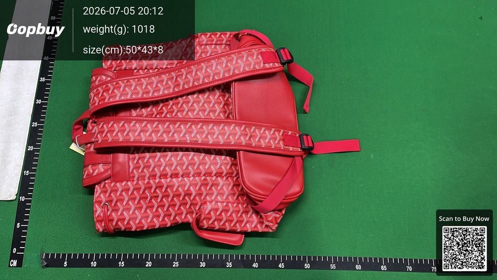 Goyard Bag QC photo 2
